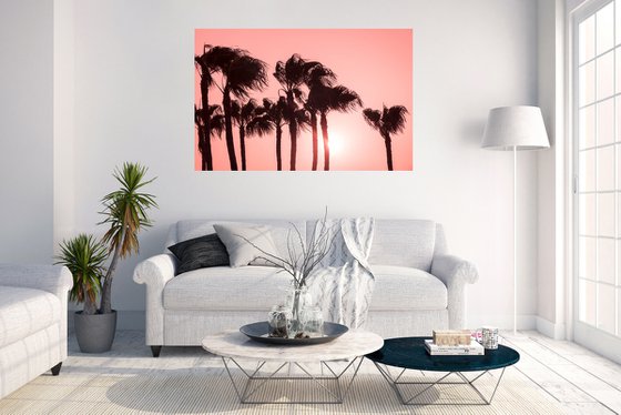 PINK PALMS