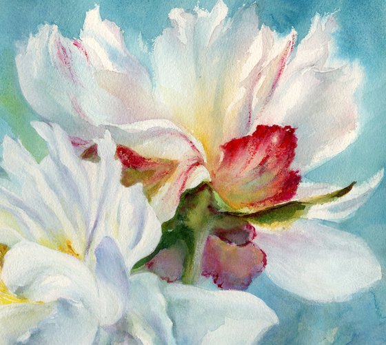 White peonies