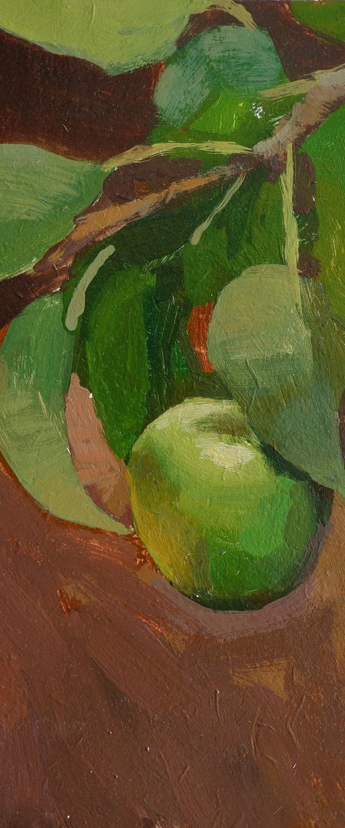 Apple tree branch by Nikita Maksimchuk