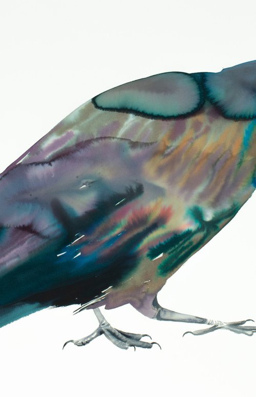 Grackle No. 4 by Elizabeth Becker