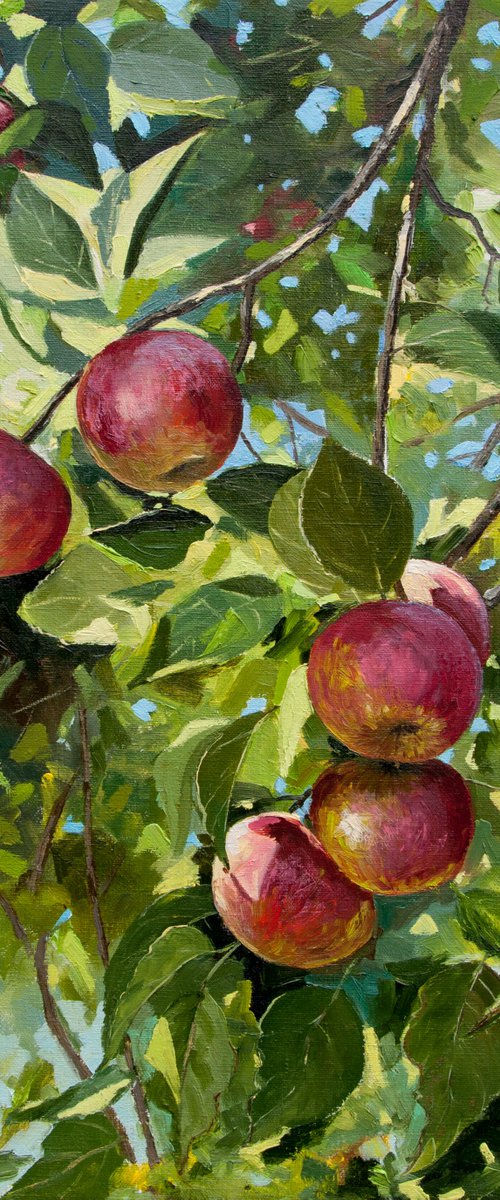 Apples. Oil painting. Original Art. 20 x 24in by Tetiana Vysochynska