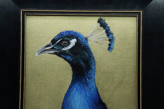 Peacock Portrait V