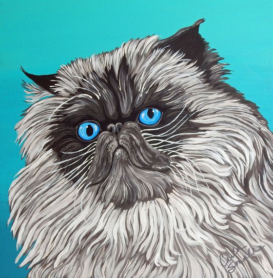 Himalayn Persian Cat-Acrylic Gouache-12 x 12 Stretched Canvas-Carla Smale