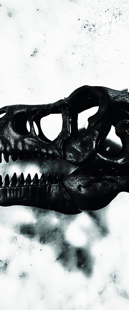 ABC#207 T-Rex #7 by Mattia Paoli