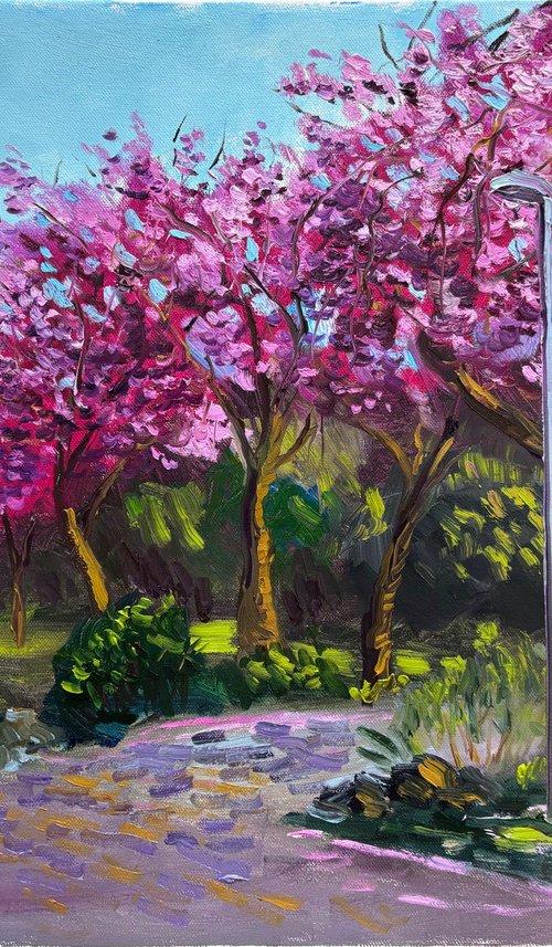 Spring Sakura Alley Plein Air by Dmitry Fedorov
