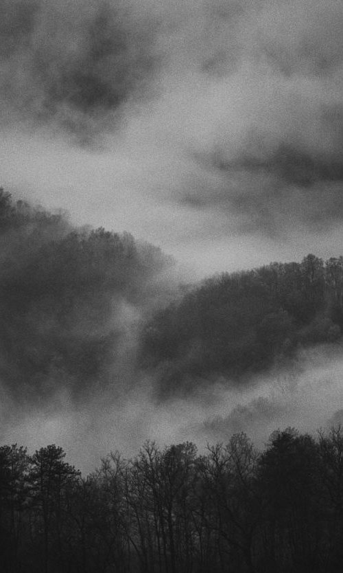 Mountain mist, NC, USA by Charles Brabin