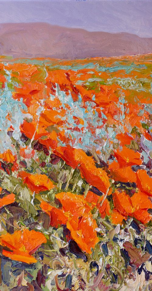 California Poppies by Suren Nersisyan