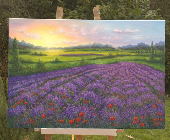 Lavender field