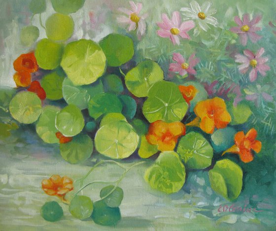 Summer colors