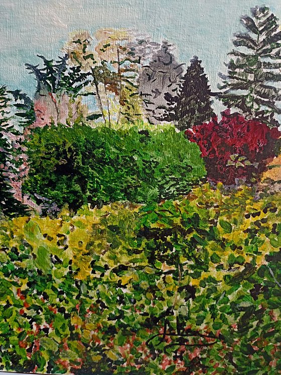 In the vineyard