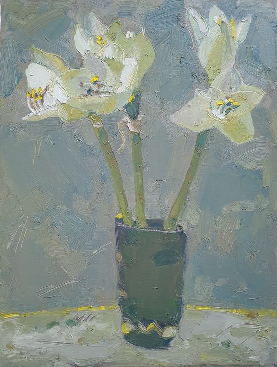 Amaryllis