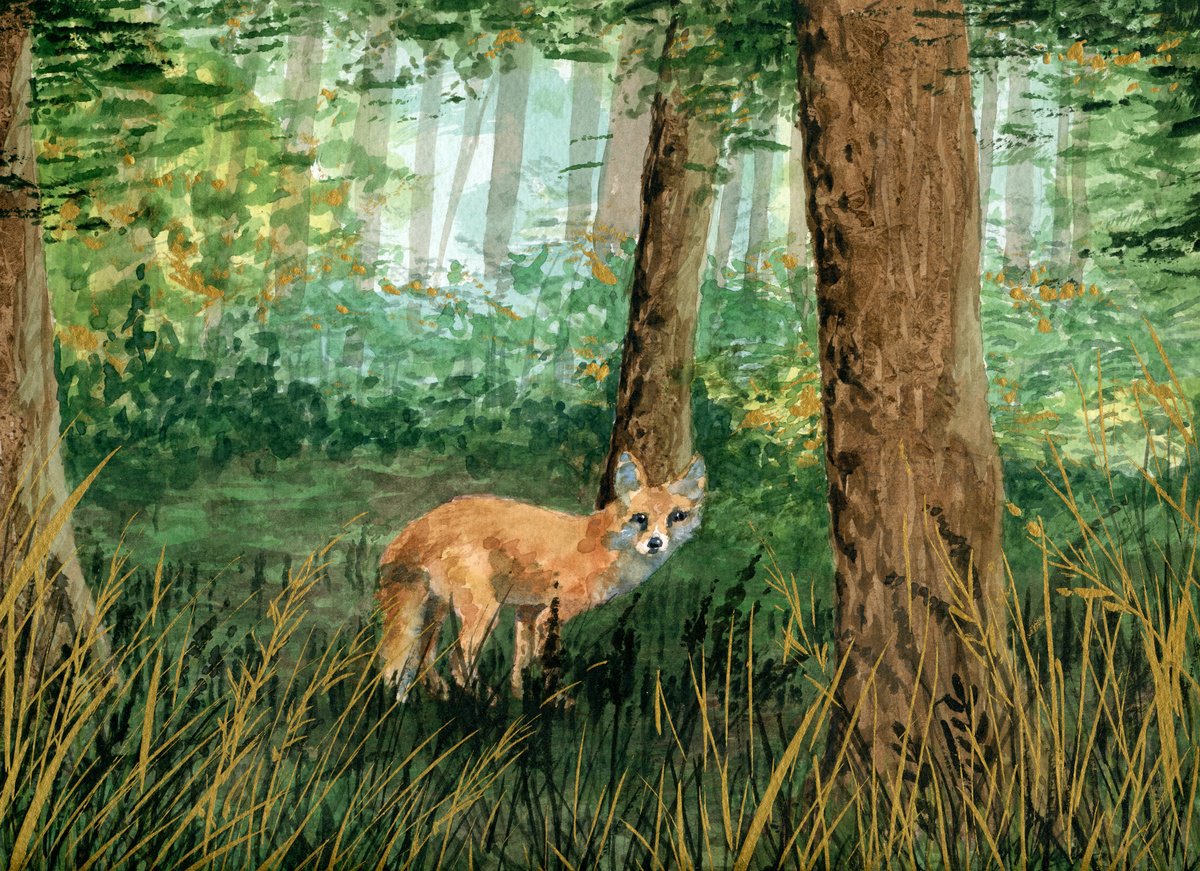 Fox in a Glade by Lisa Mann