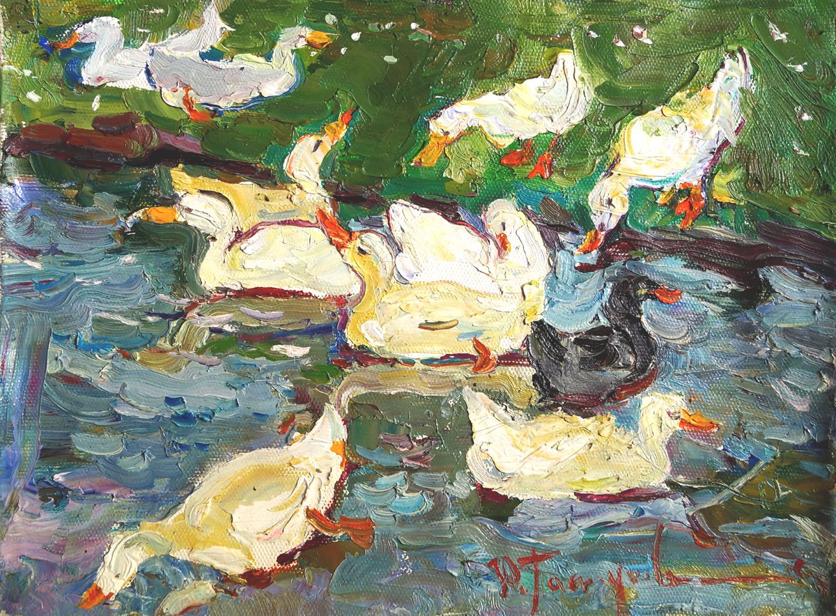 Ducks by Yuliia Pastukhova