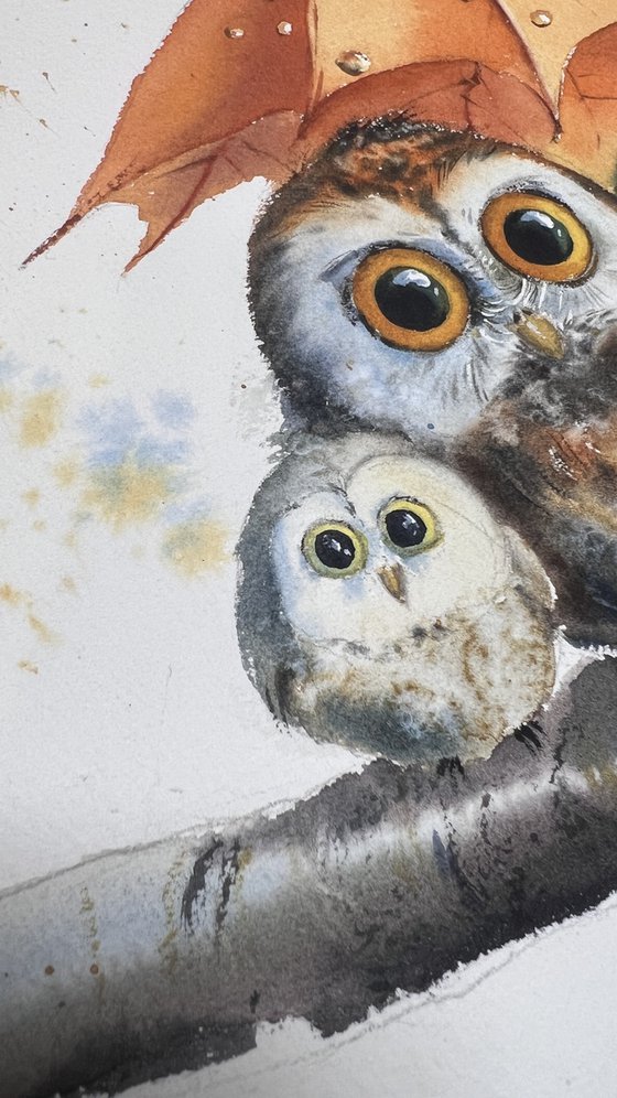 Owl Umbrella Haven