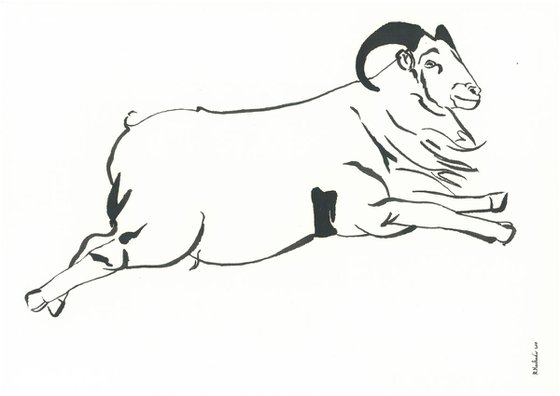 Ram I Animal Drawing Ink drawing by Ricardo Machado | Artfinder