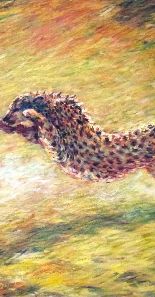 Cheetah by Surin Jung