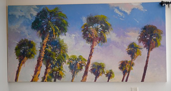 Palm Trees in California