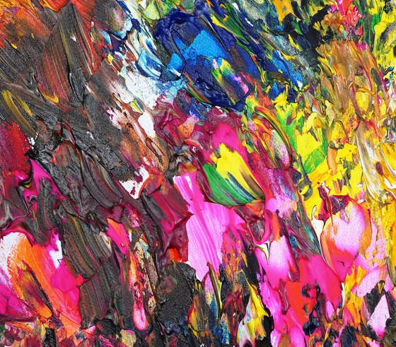 Magnificent Spectacle XL 3