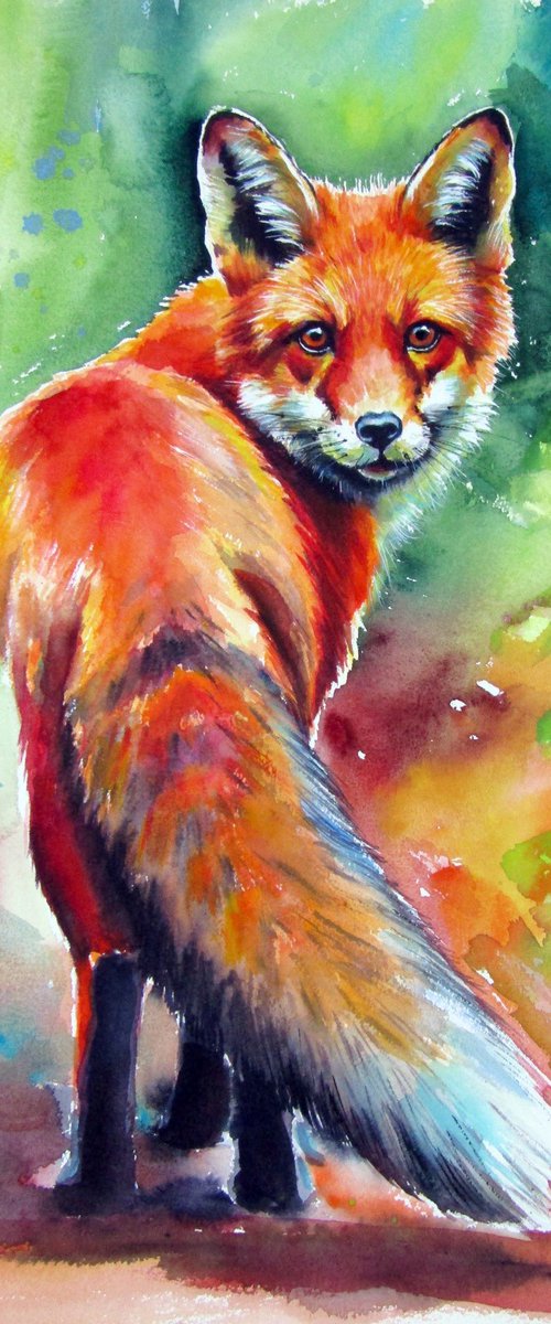 Red fox III by Kovács Anna Brigitta