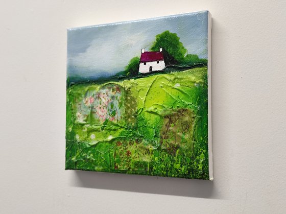 Little cottage on Green patchwork Field Textured Landscape