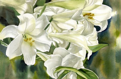 A painting a day #9 'Many shades of white' by Alfred  Ng