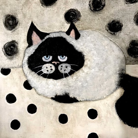 Siamese cat with polka dots