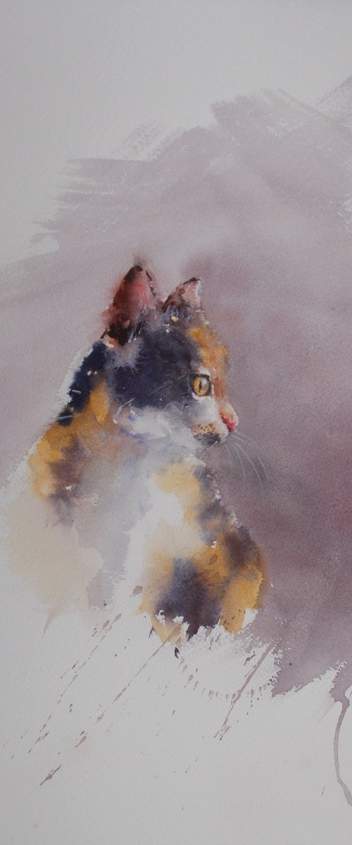 cat 4 by Giorgio Gosti