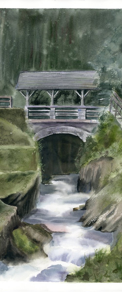 Gorge Bridge by Olga Tchefranov (Shefranov)