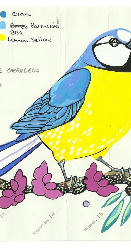 Birds of Europe: Blue Tit by Fran Giffard