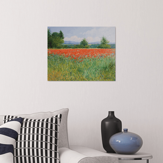 Field of poppies in Provence