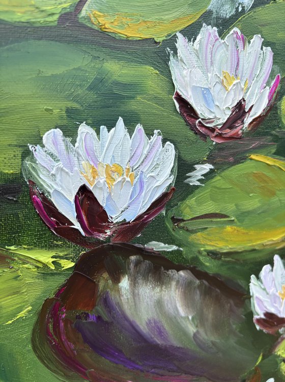 Serenity of Water Lilies