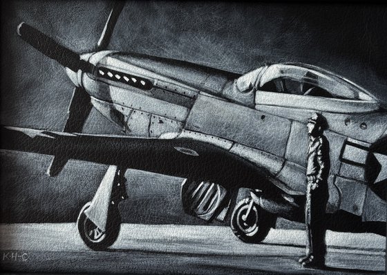 Monochrome medium P51 Mustang