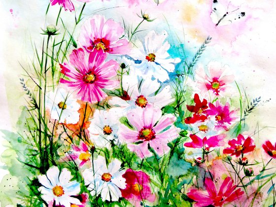 Cosmos flowers