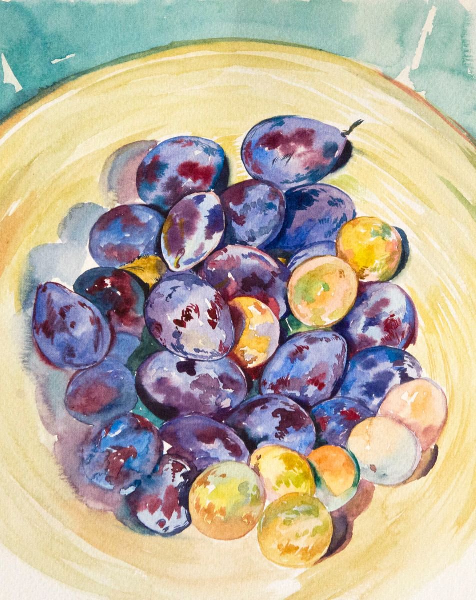Impressionistic Still Life Watercolour By Daria Galinski, 9 X 11, Watercolor Still Life With Plums, Original Artwork