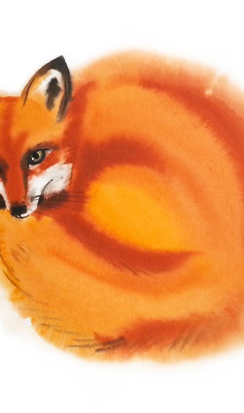 Red Fox - foxy - fox watercolo by Olga Beliaeva Watercolour