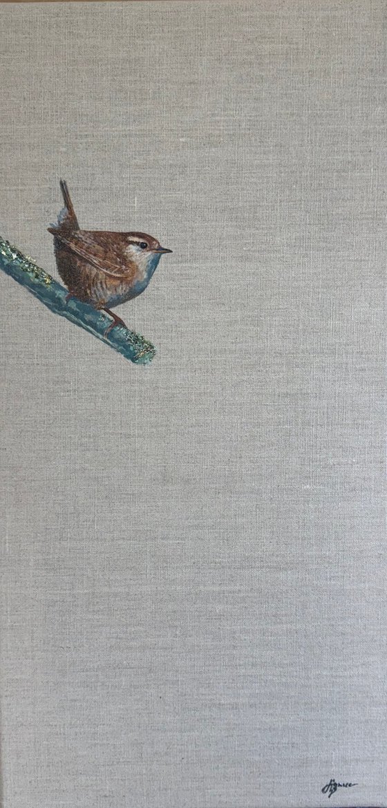 Wren on Lichen