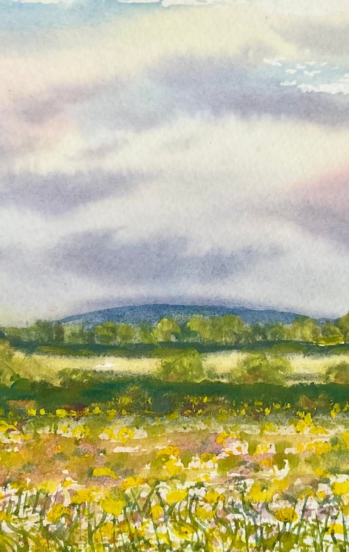 In the buttercup meadow by Samantha Adams