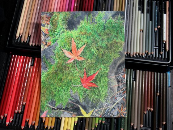 Fallen Leaves On A Mossy Rock