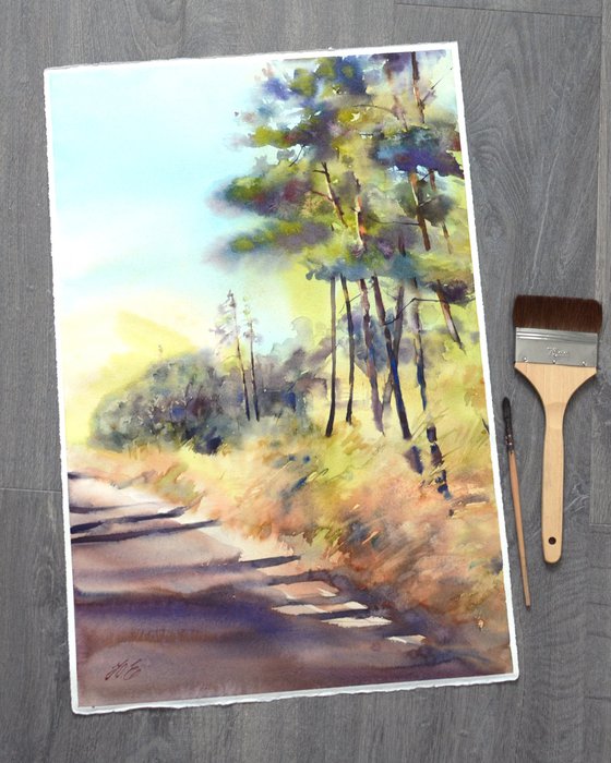 Pine forest in sunshine