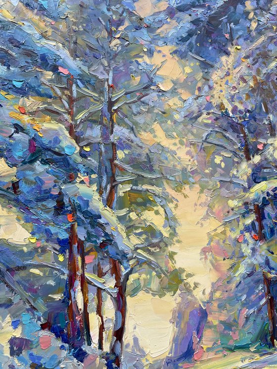 "winter forest"