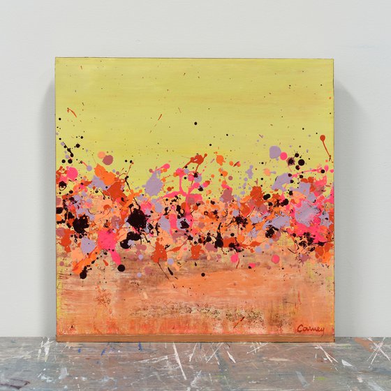 Sunkist Coral 2