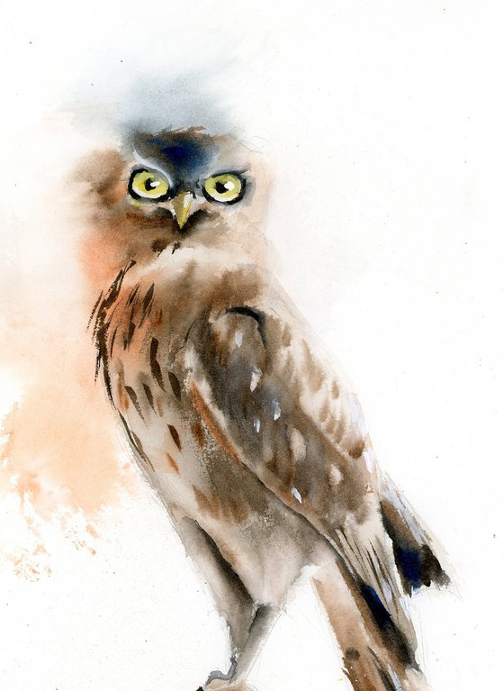 Young Owl