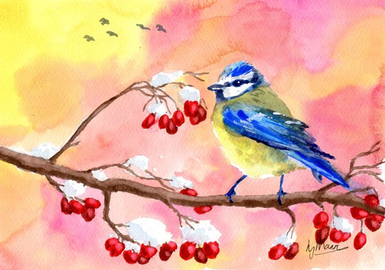 Blue Tit and Winter Berries