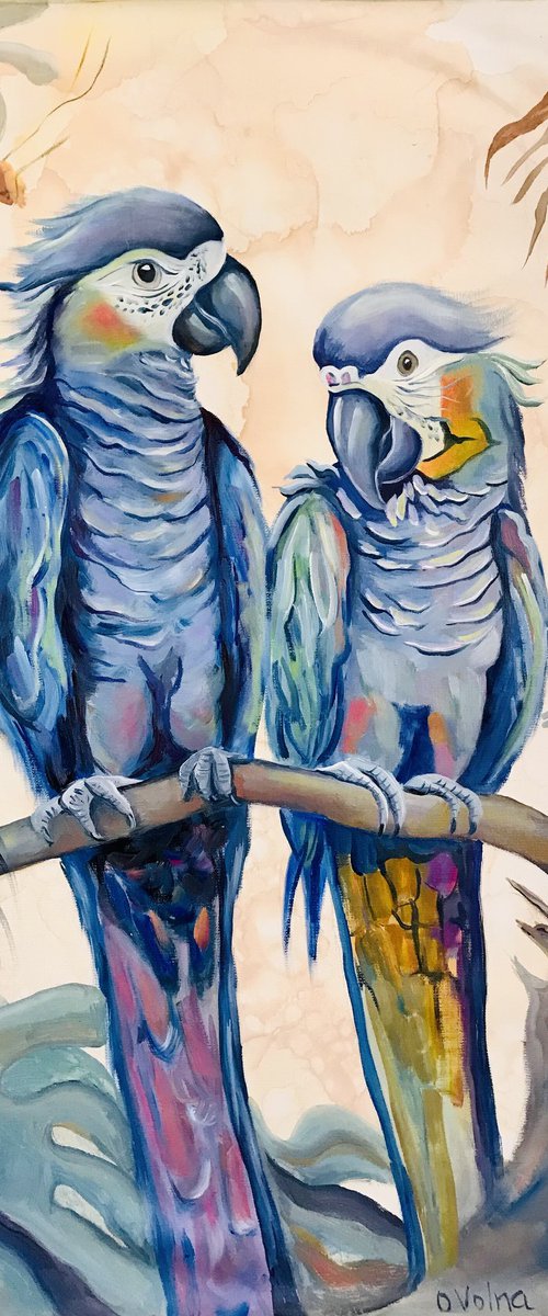 Blue parrots in love by Olga Volna