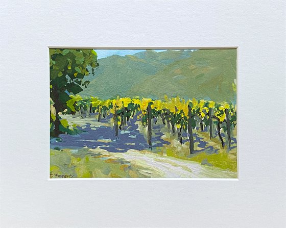 Carmel Valley Vines Landscape