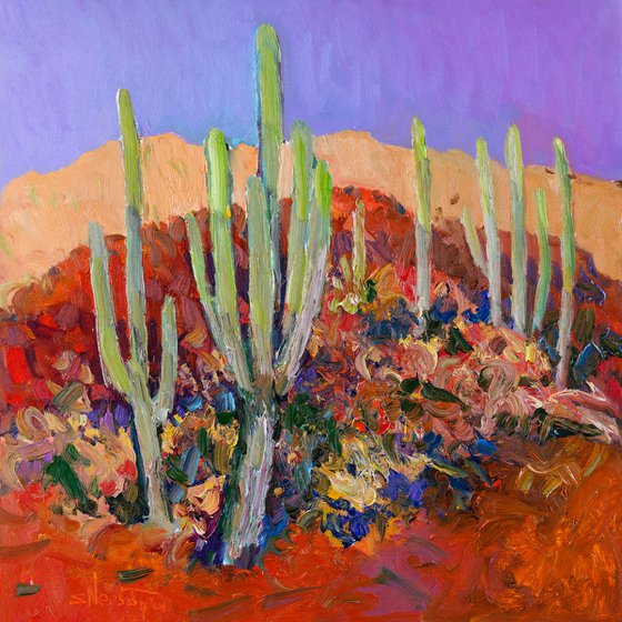 Morning in the Desert, Saguaro Cactuses
