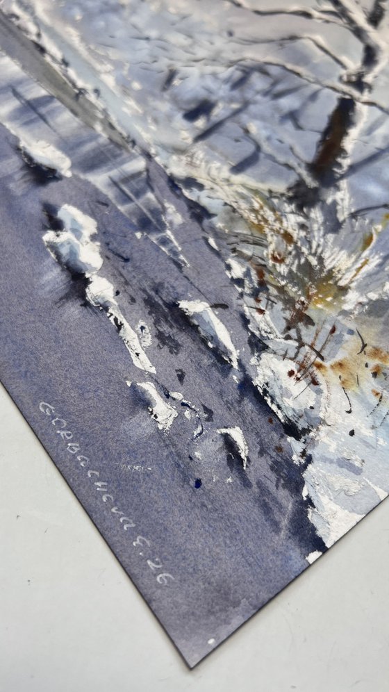 Winter’s Gentle Lace