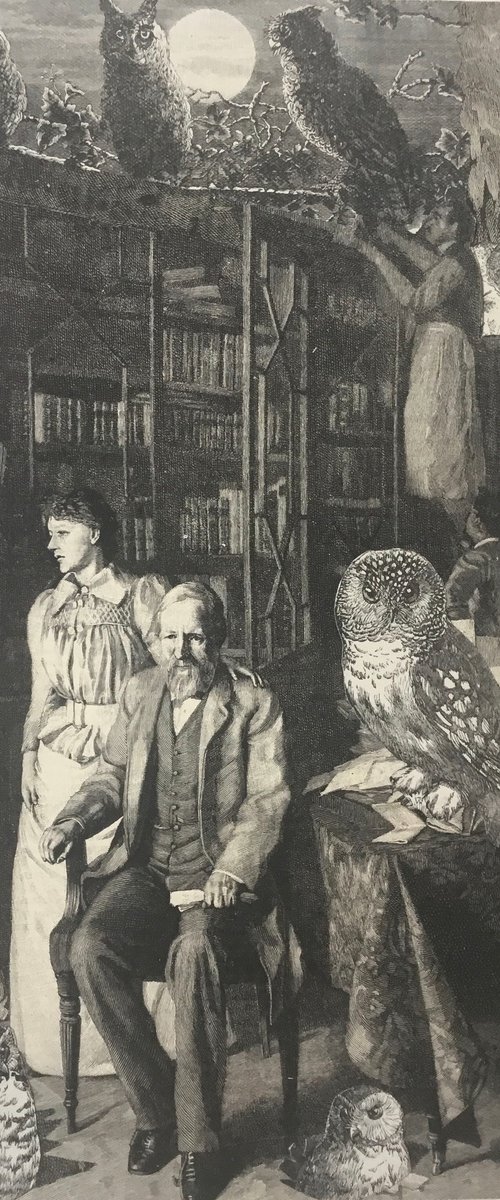 Tormented by owls by Tudor Evans