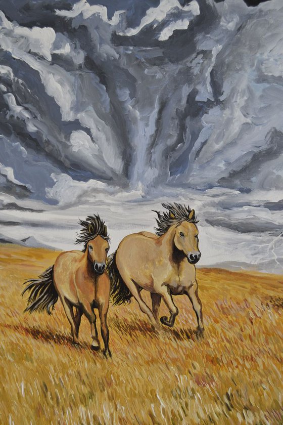 Norwegian Horses in the Storm