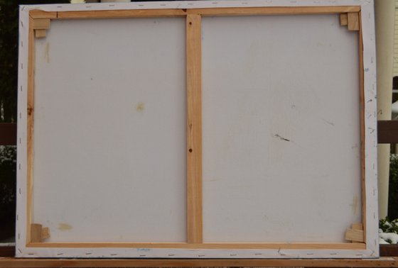 The Passage of Light: Genesis Marine Study